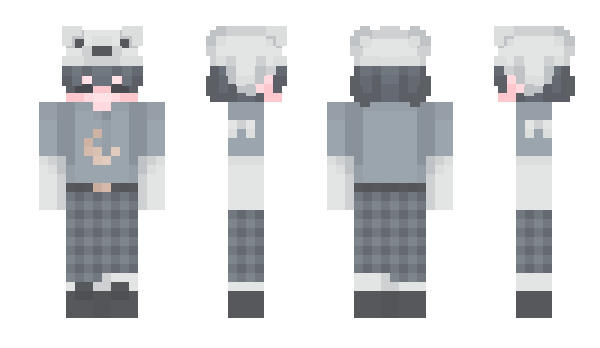 Minecraft skin DDiz