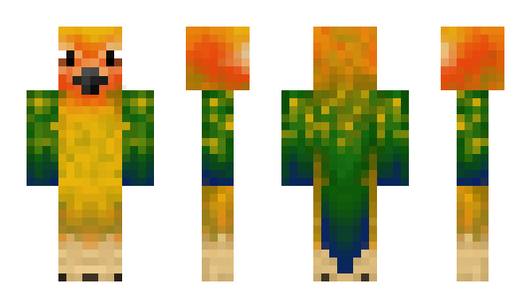 Minecraft skin ParrotPlays