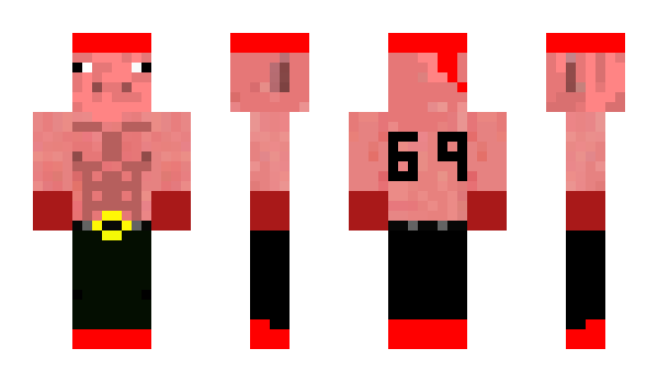 Minecraft skin Albiser