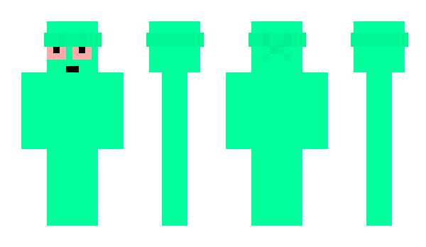 Minecraft skin RT24