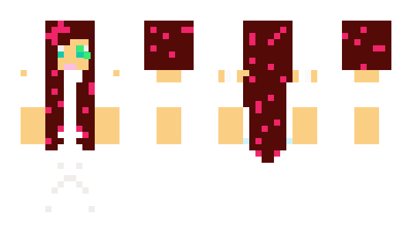 Minecraft skin rollerman