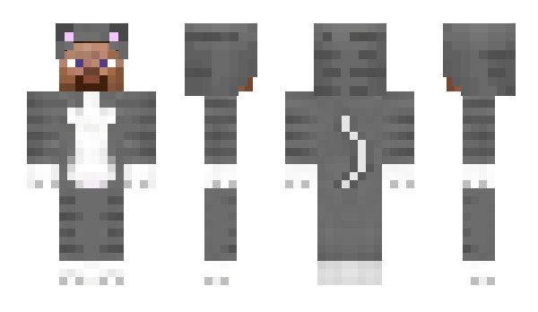 Minecraft skin wuanted