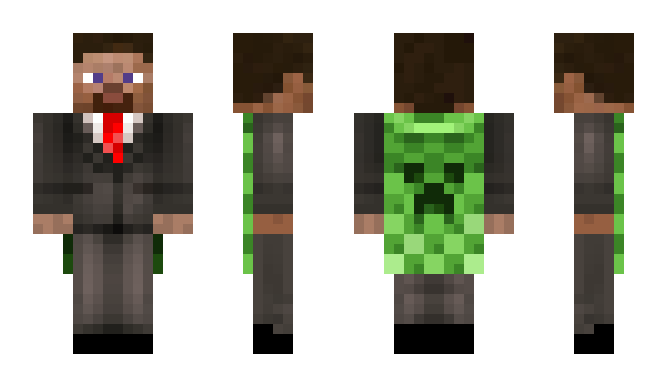 Minecraft skin _Mane