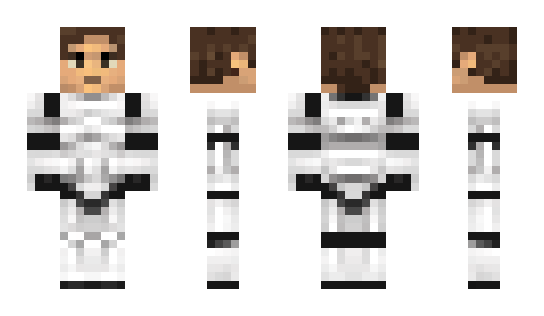 Minecraft skin Tokusatsu