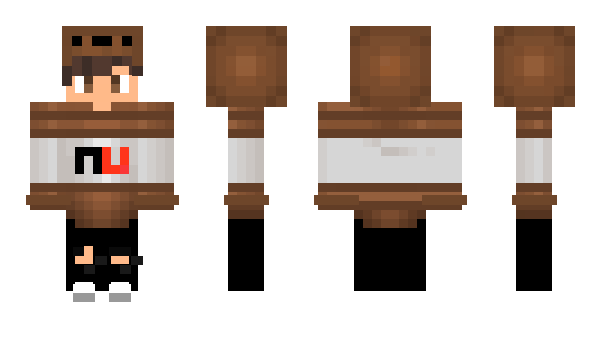 Minecraft skin Tiwty