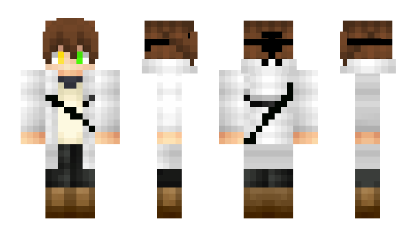 Minecraft skin NDEB