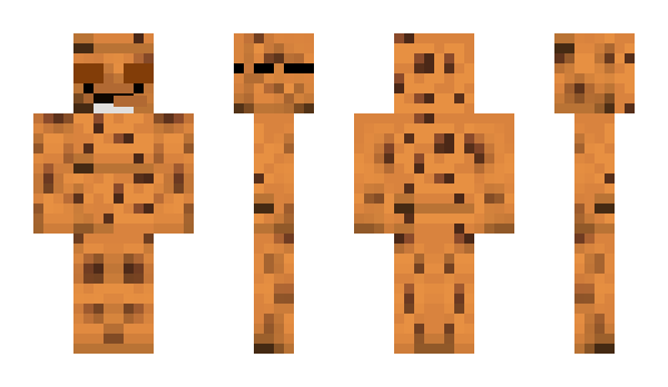Minecraft skin RobotX