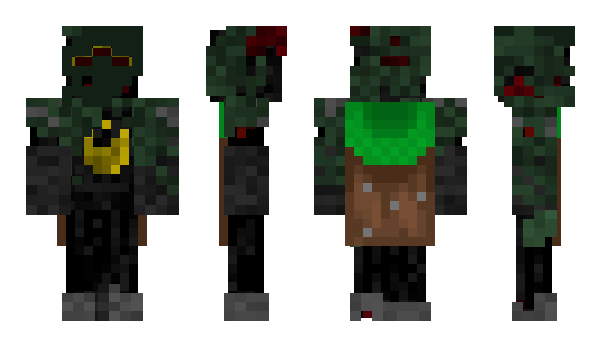 Minecraft скин по нику Hokkorei
