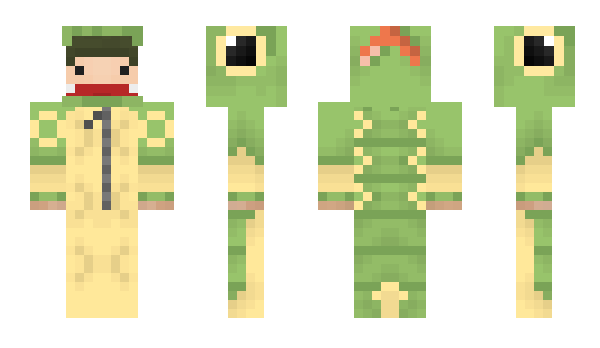 Minecraft skin Araazos