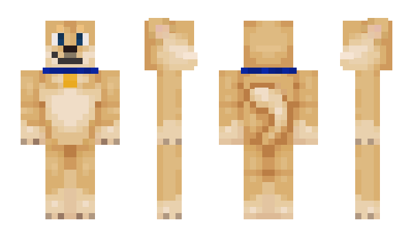 Minecraft skin Boyam