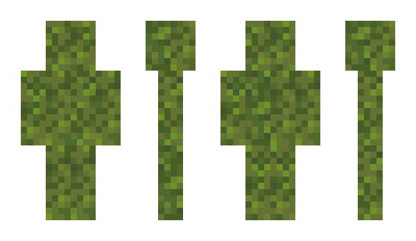 Minecraft skin musce