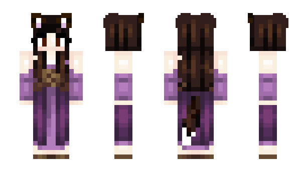 Minecraft skin Wizard_Cat_Hol
