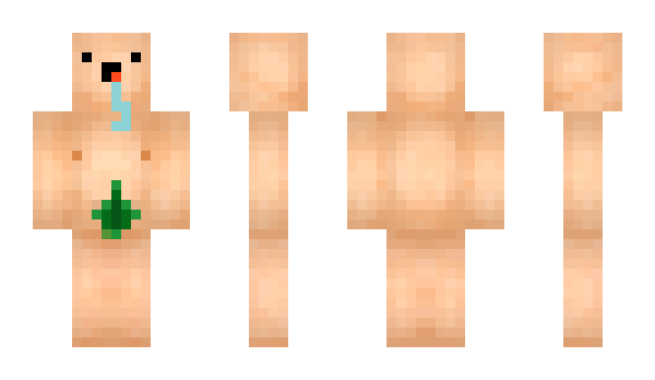 Minecraft skin Aufnahme