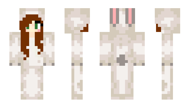 Minecraft skin Miniset