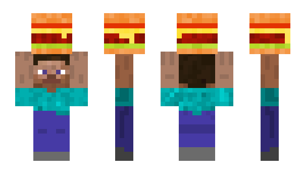Minecraft skin Danfa