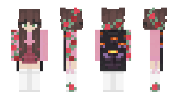 Minecraft skin Pixe1here