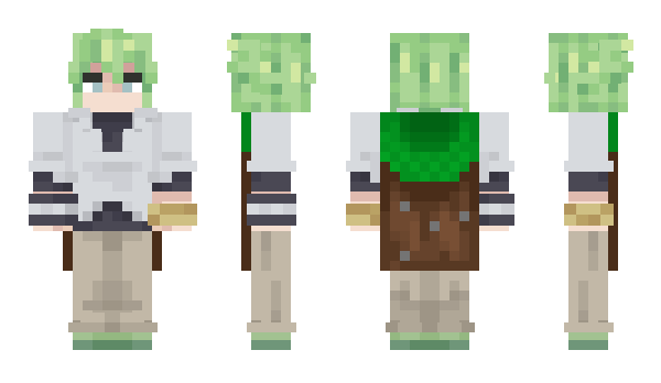 Minecraft скин по нику Brauntt