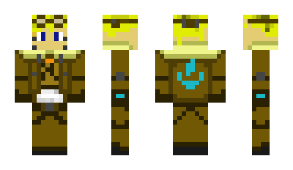 Minecraft skin BusDriver