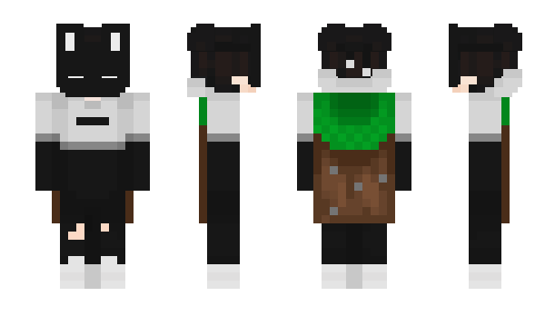 Minecraft skin IQ2020202