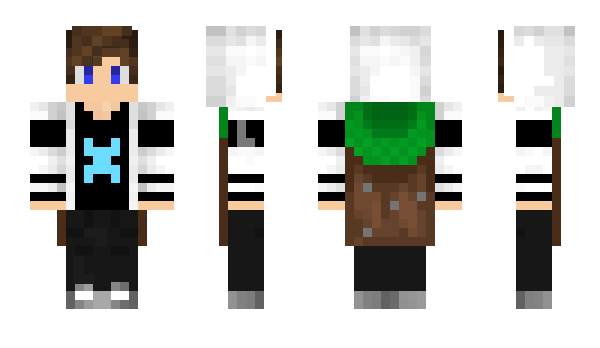 Minecraft skin Sarac2121