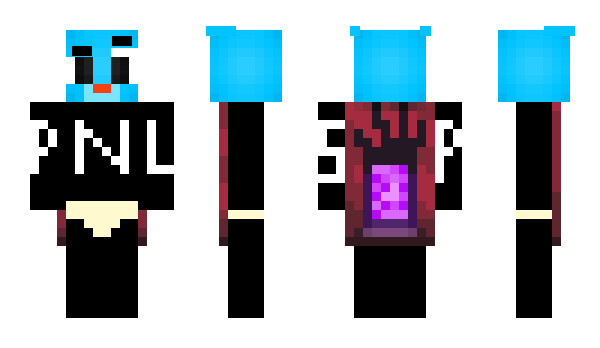 Minecraft скін по ніку grrrpaw_PNL
