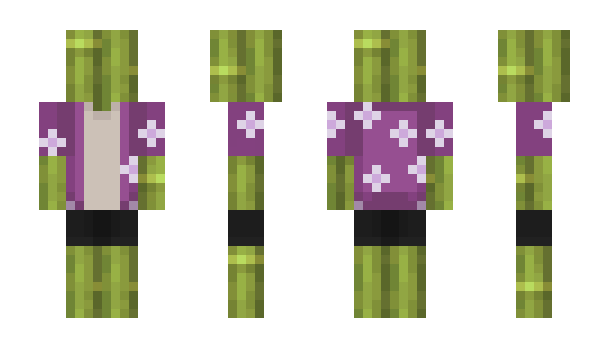 Minecraft skin Buff2Bamboo