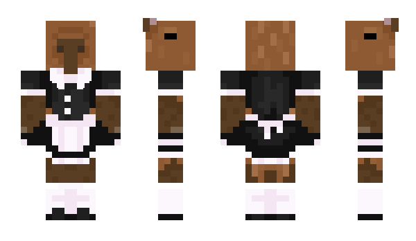 Minecraft skin rachybara