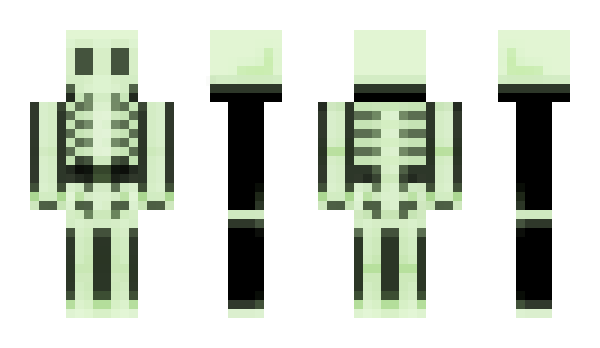 Minecraft skin Skeletron5