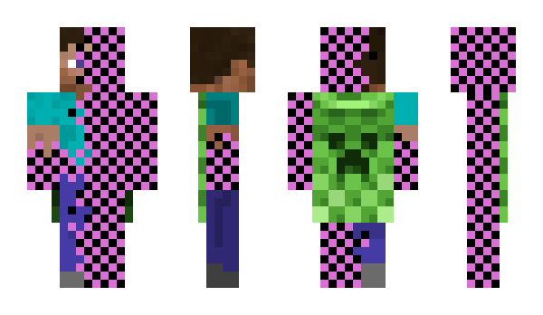 Minecraft skin DW35