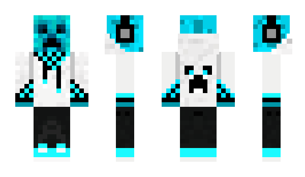 Minecraft skin Tickenest