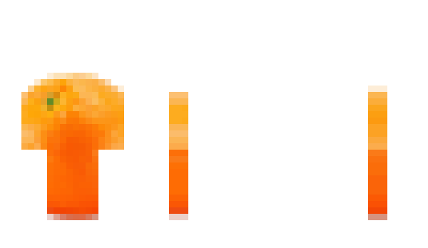 Minecraft skin xXLionsXx