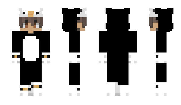 Minecraft скин по нику ErkooOO