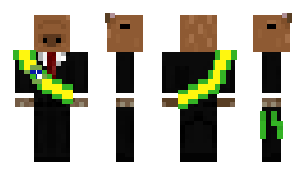 Minecraft скин по нику TopRobin