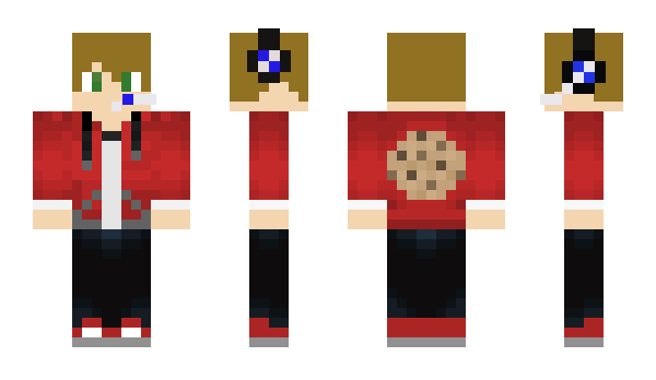 Minecraft skin dukenix