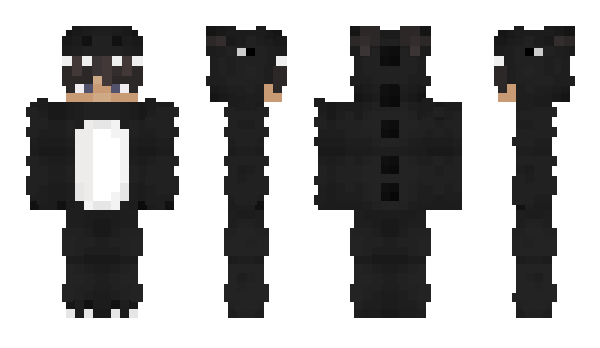 Minecraft skin ItsGalaX