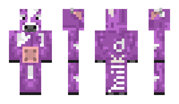 Minecraft skin Videx