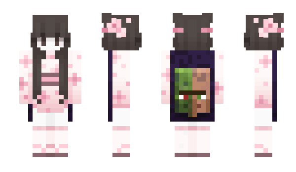 Minecraft skin hmut