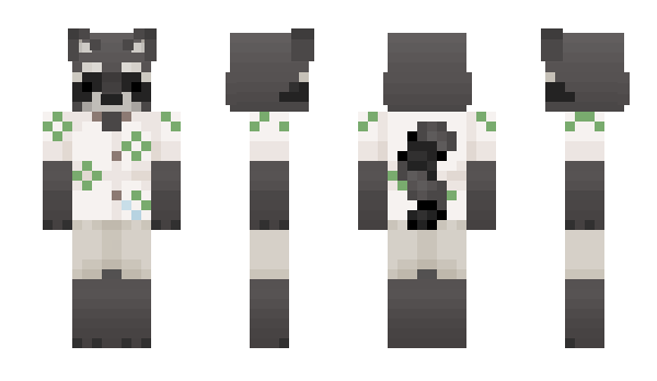 Minecraft skin sarasikubi