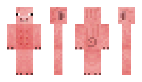 Minecraft skin Pigal