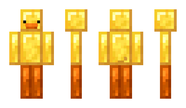 Minecraft skin Expms