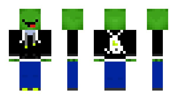 Minecraft skin Angry_Frog