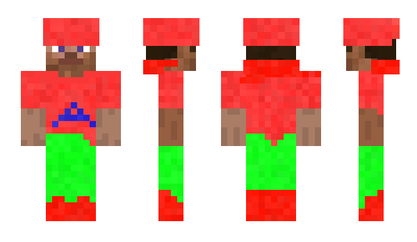 Minecraft skin Anpl