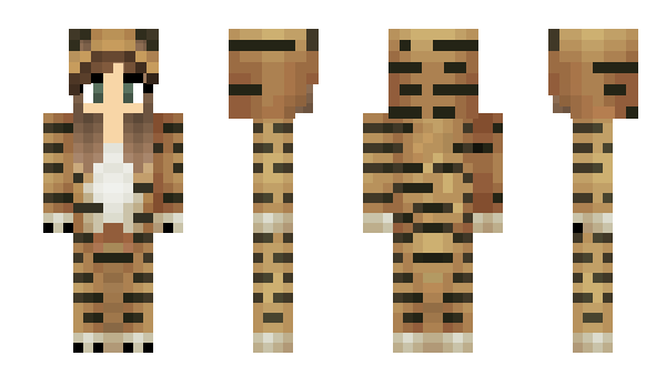 Minecraft skin BlitzXPRO