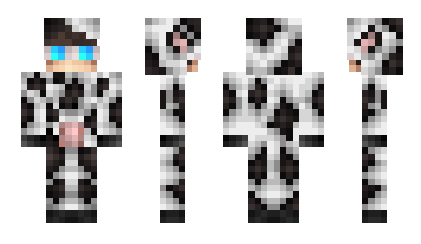 Minecraft skin qujy