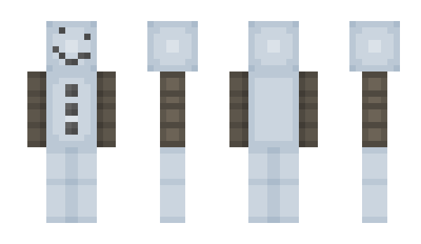 Minecraft skin DDPC