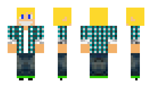 Minecraft skin Mr_Tech_31