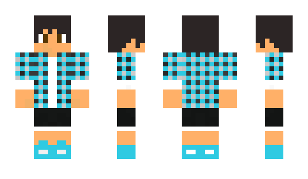Minecraft skin Pommy