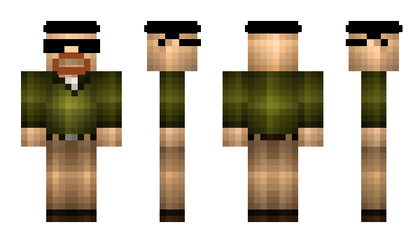 Minecraft skin Perril