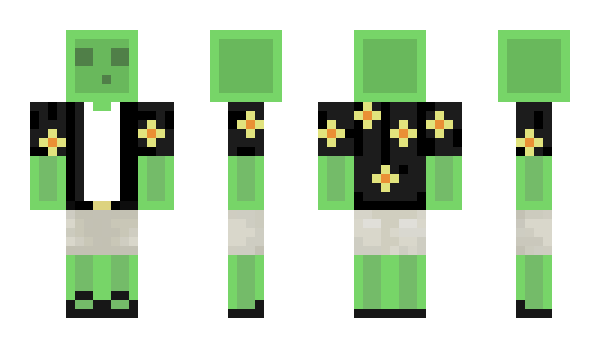 Minecraft skin glaceircatz