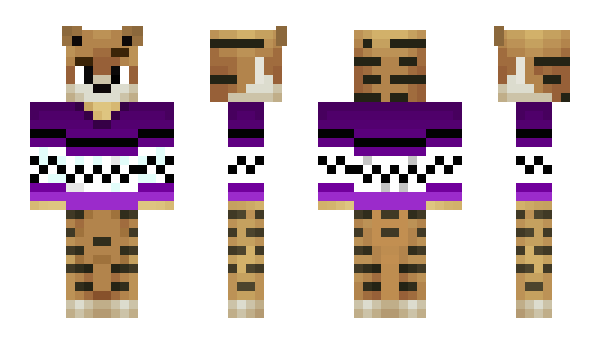 Minecraft skin ZuukaTV